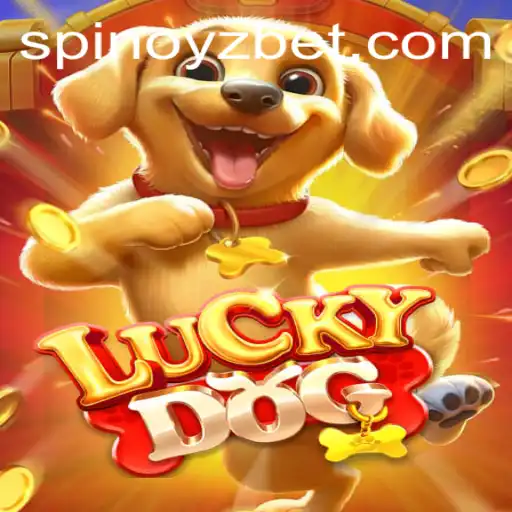 Exploring the Exciting World of LuckyDog: The SPINOYZ Adventure